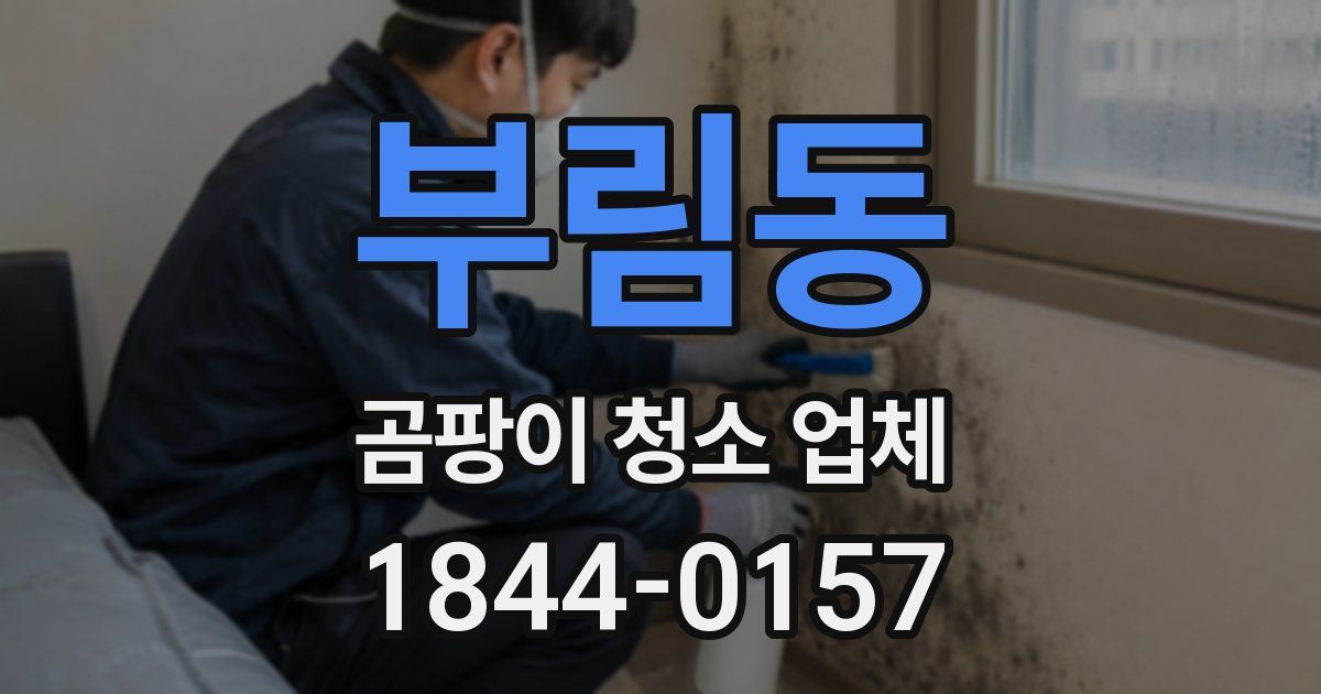 부림동 곰팡이 청소 업체