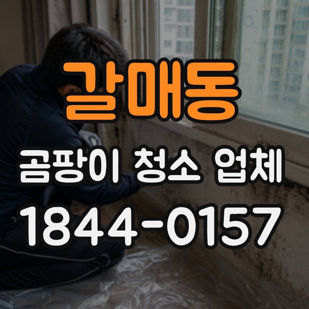 갈매동 곰팡이 청소 업체