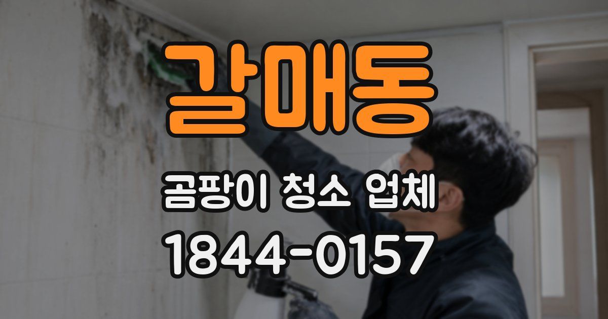 갈매동 곰팡이 청소 업체