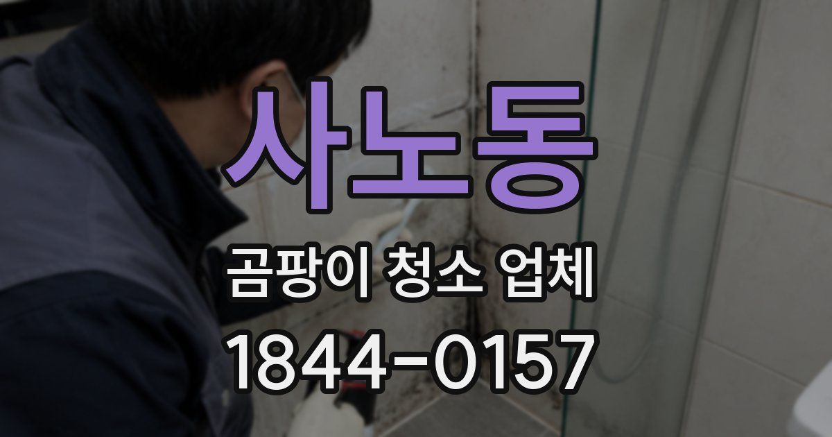 사노동 곰팡이 청소 업체