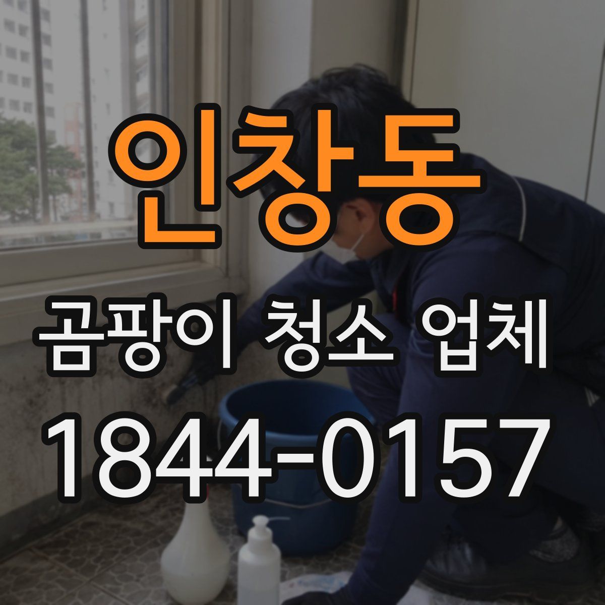 인창동 곰팡이 청소 업체
