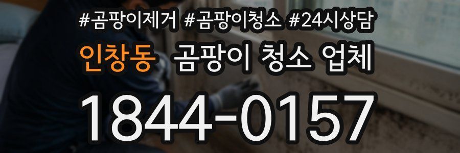인창동 곰팡이 청소 업체