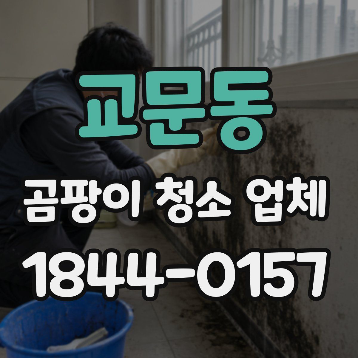 교문동 곰팡이 청소 업체