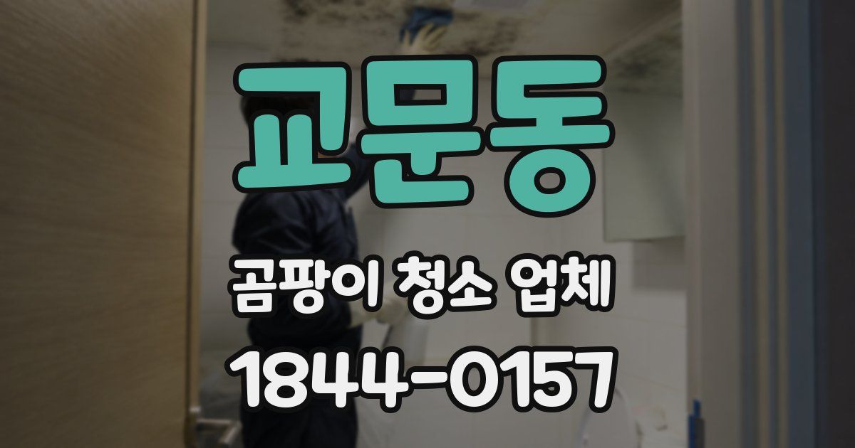 교문동 곰팡이 청소 업체