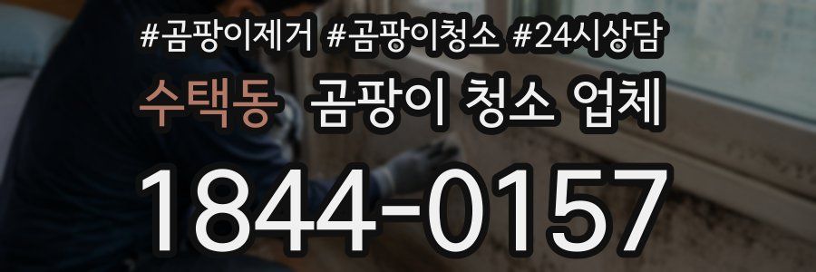수택동 곰팡이 청소 업체