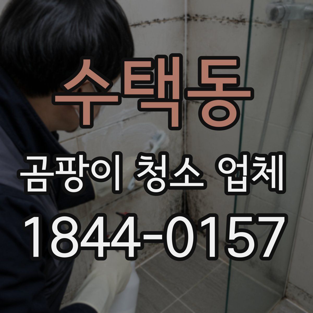 수택동 곰팡이 청소 업체