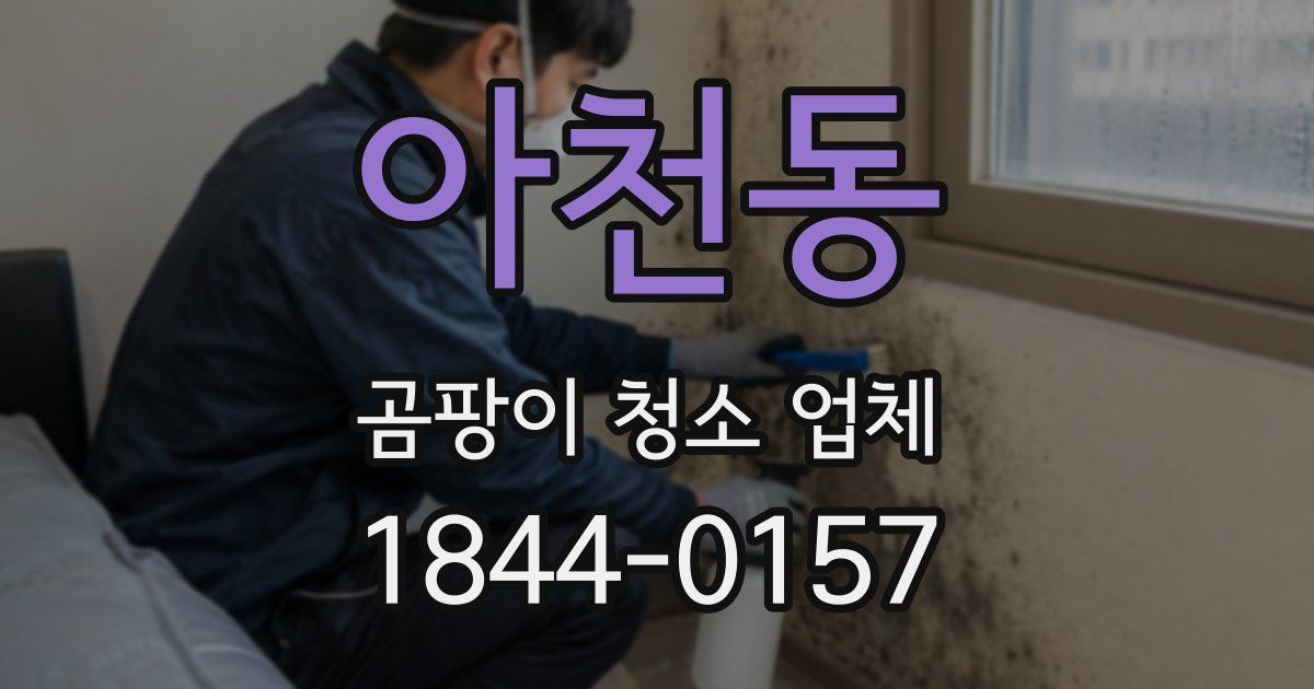아천동 곰팡이 청소 업체