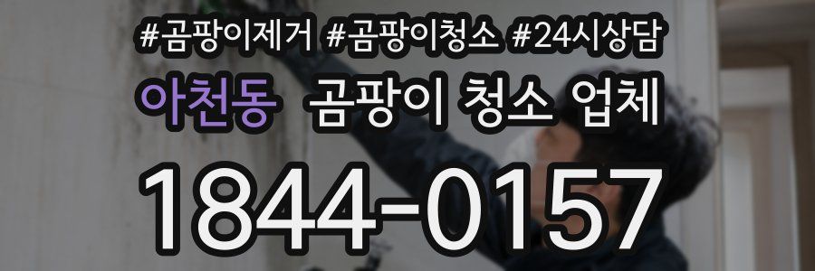 아천동 곰팡이 청소 업체