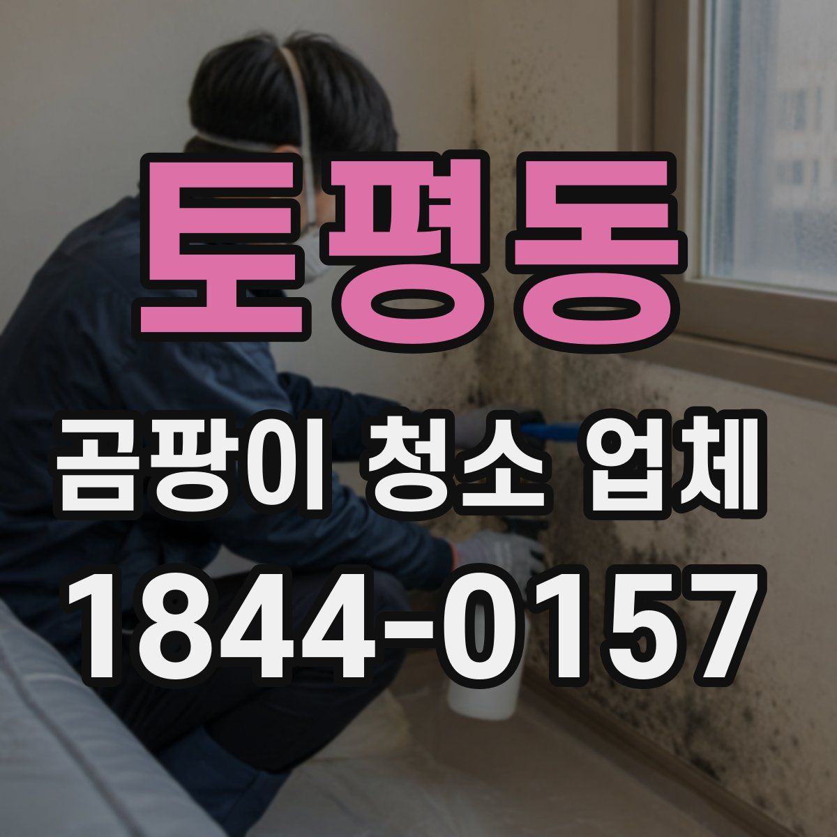토평동 곰팡이 청소 업체