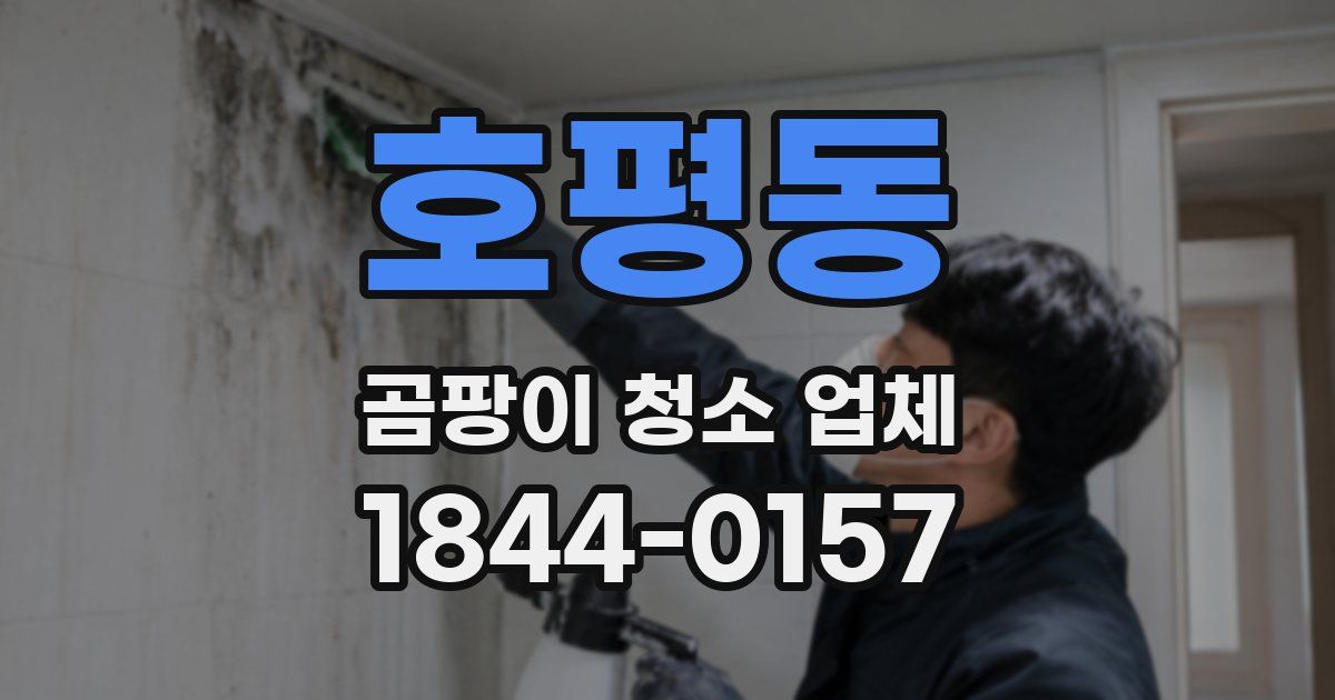 호평동 곰팡이 청소 업체
