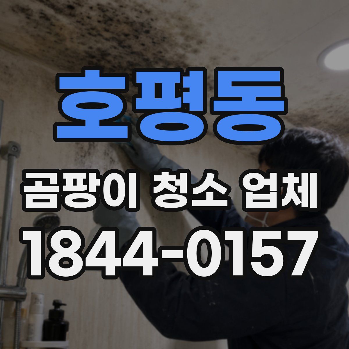 호평동 곰팡이 청소 업체
