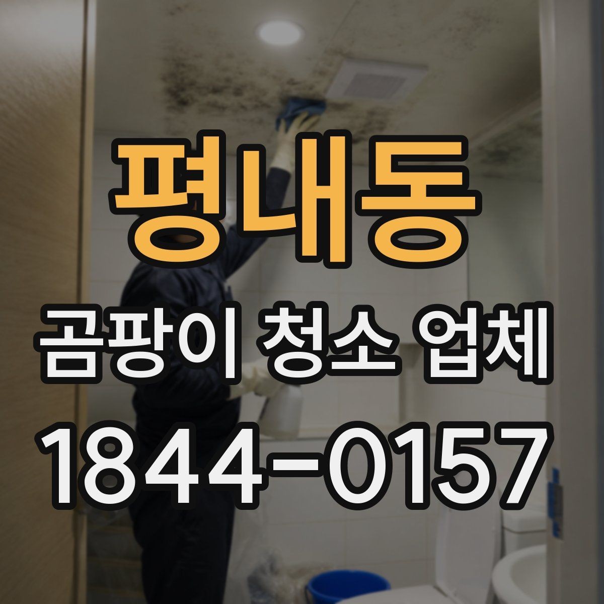 평내동 곰팡이 청소 업체 실리콘 교체 시기 놓치면 생기는 문제