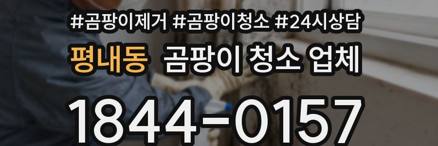 평내동 곰팡이 청소 업체