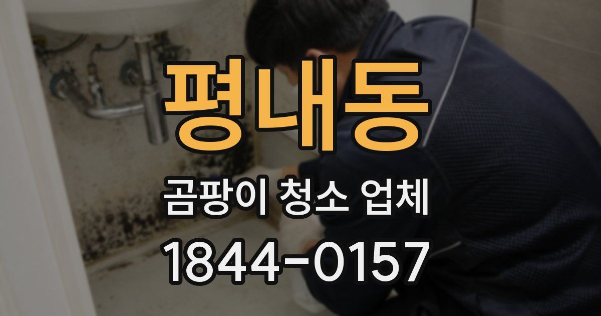 평내동 곰팡이 청소 업체