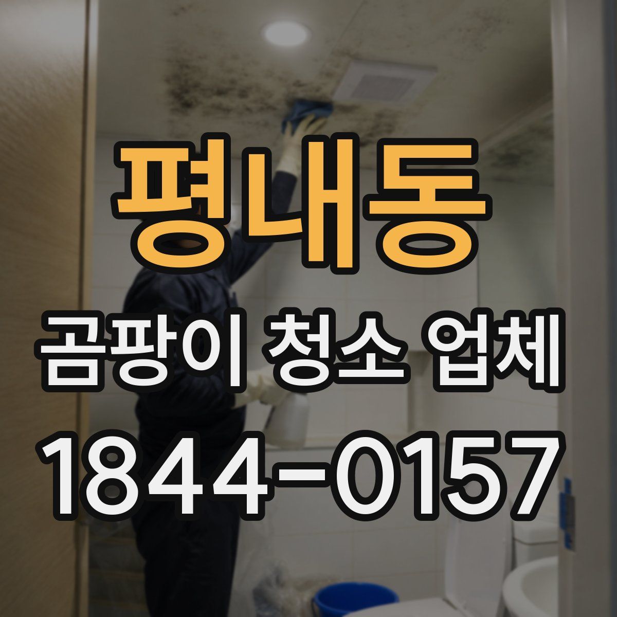 평내동 곰팡이 청소 업체