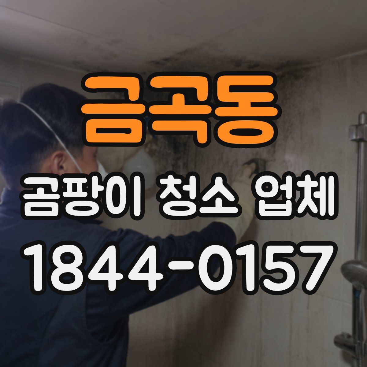 금곡동 곰팡이 청소 업체