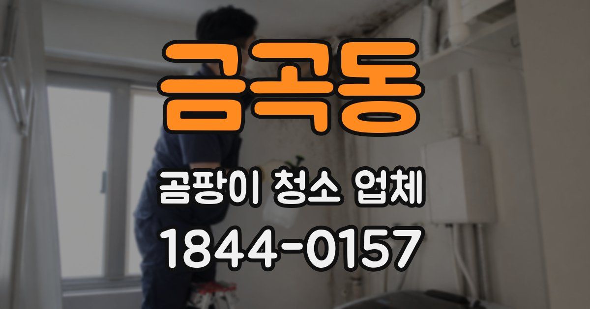 금곡동 곰팡이 청소 업체
