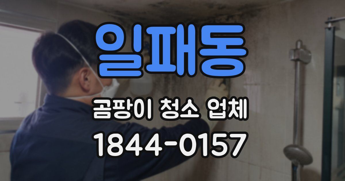 일패동 곰팡이 청소 업체