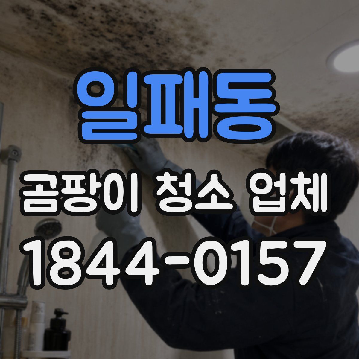 일패동 곰팡이 청소 업체