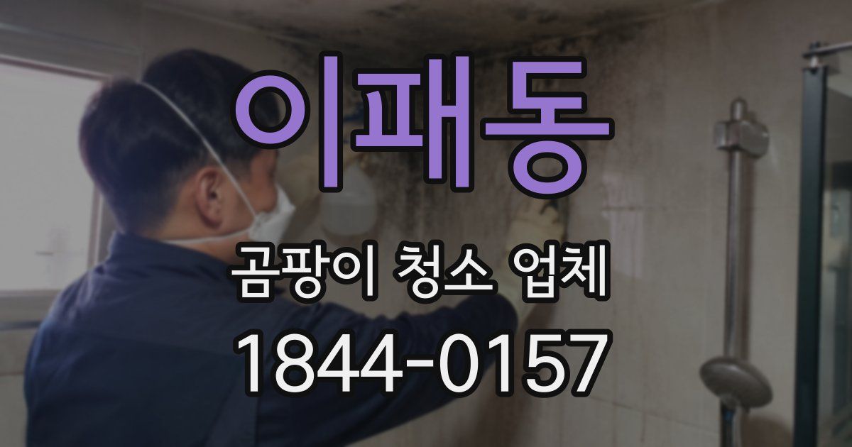 이패동 곰팡이 청소 업체