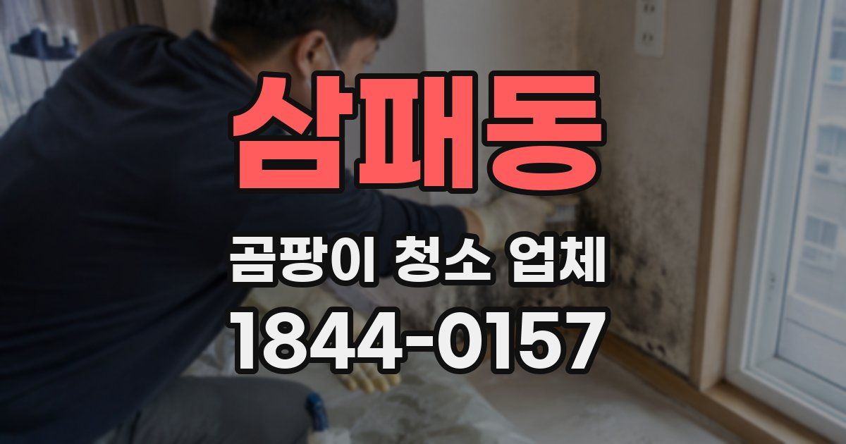 삼패동 곰팡이 청소 업체