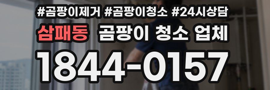 삼패동 곰팡이 청소 업체