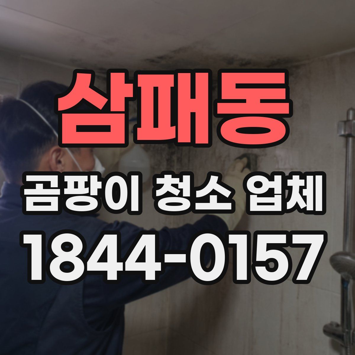 삼패동 곰팡이 청소 업체