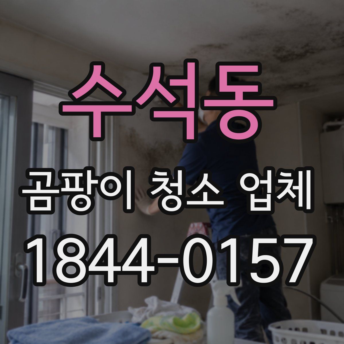 수석동 곰팡이 청소 업체