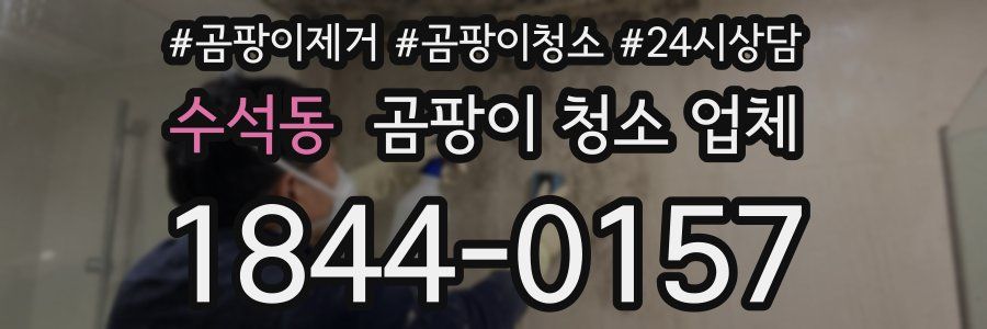 수석동 곰팡이 청소 업체