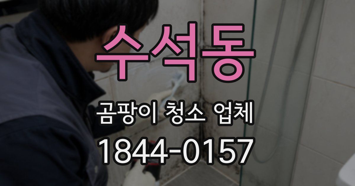 수석동 곰팡이 청소 업체