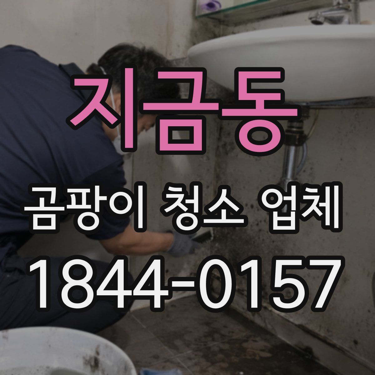 지금동 곰팡이 청소 업체