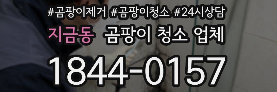 지금동 곰팡이 청소 업체