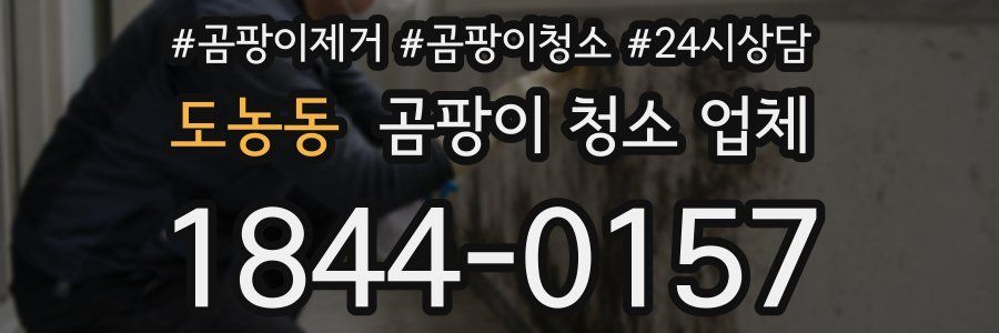 도농동 곰팡이 청소 업체