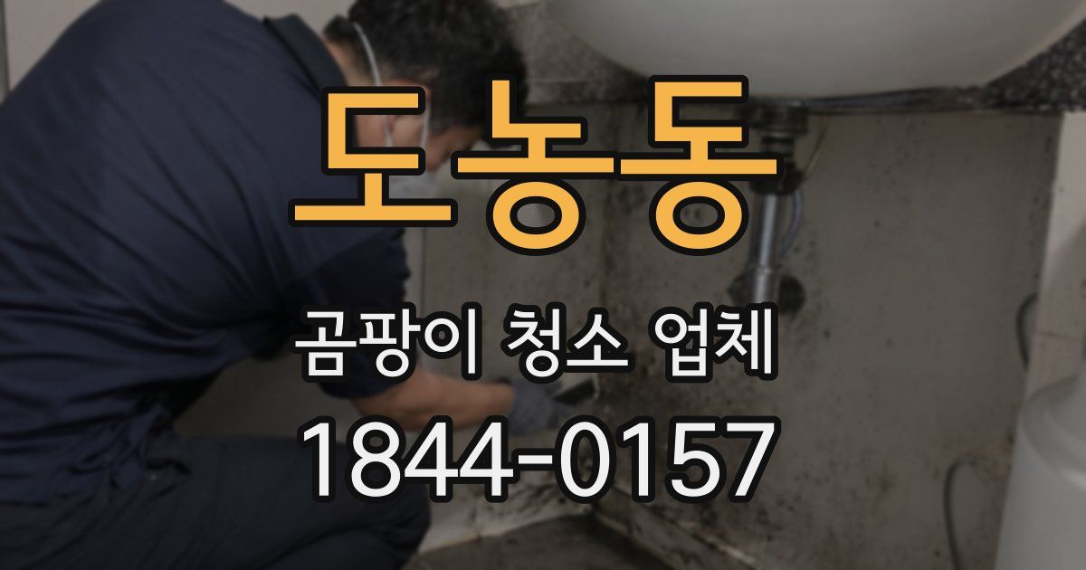 도농동 곰팡이 청소 업체