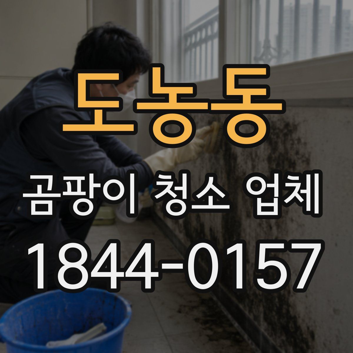 도농동 곰팡이 청소 업체