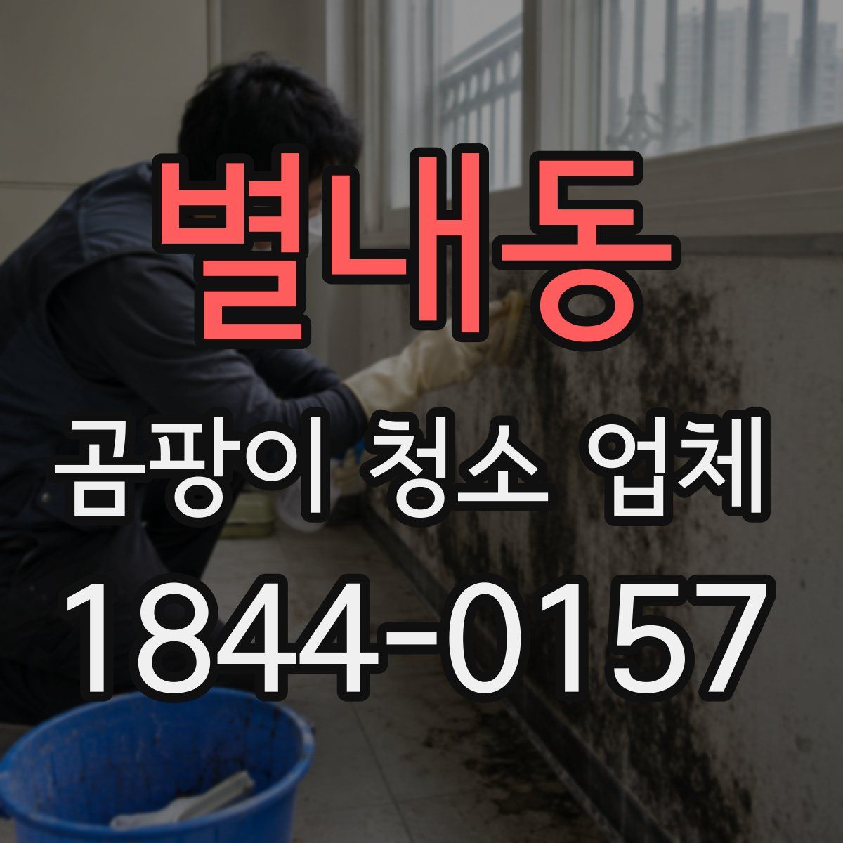 별내동 곰팡이 청소 업체
