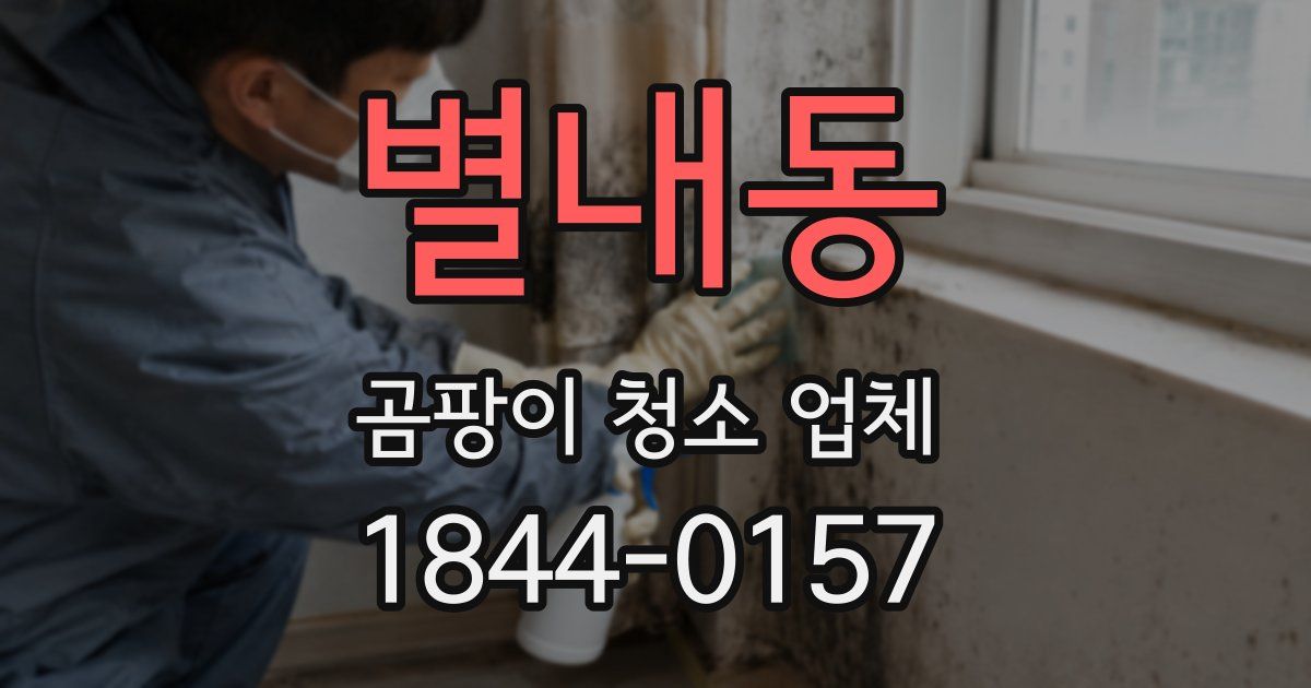 별내동 곰팡이 청소 업체