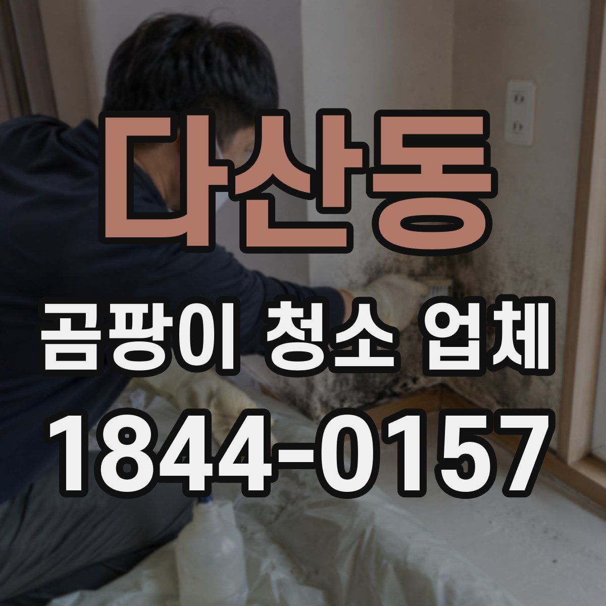 다산동 곰팡이 청소 업체