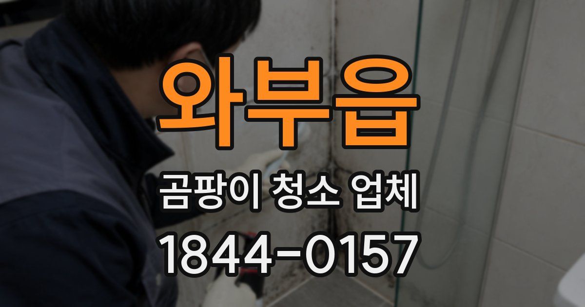 와부읍 곰팡이 청소 업체