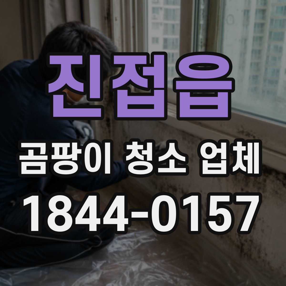 진접읍 곰팡이 청소 업체