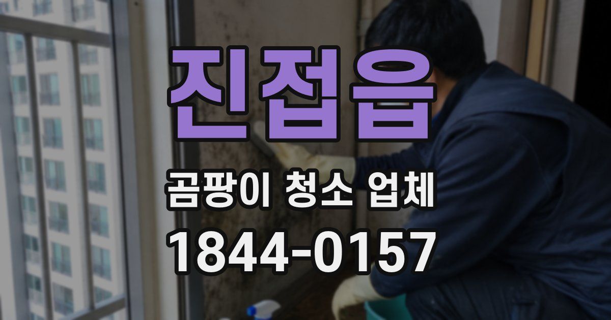 진접읍 곰팡이 청소 업체