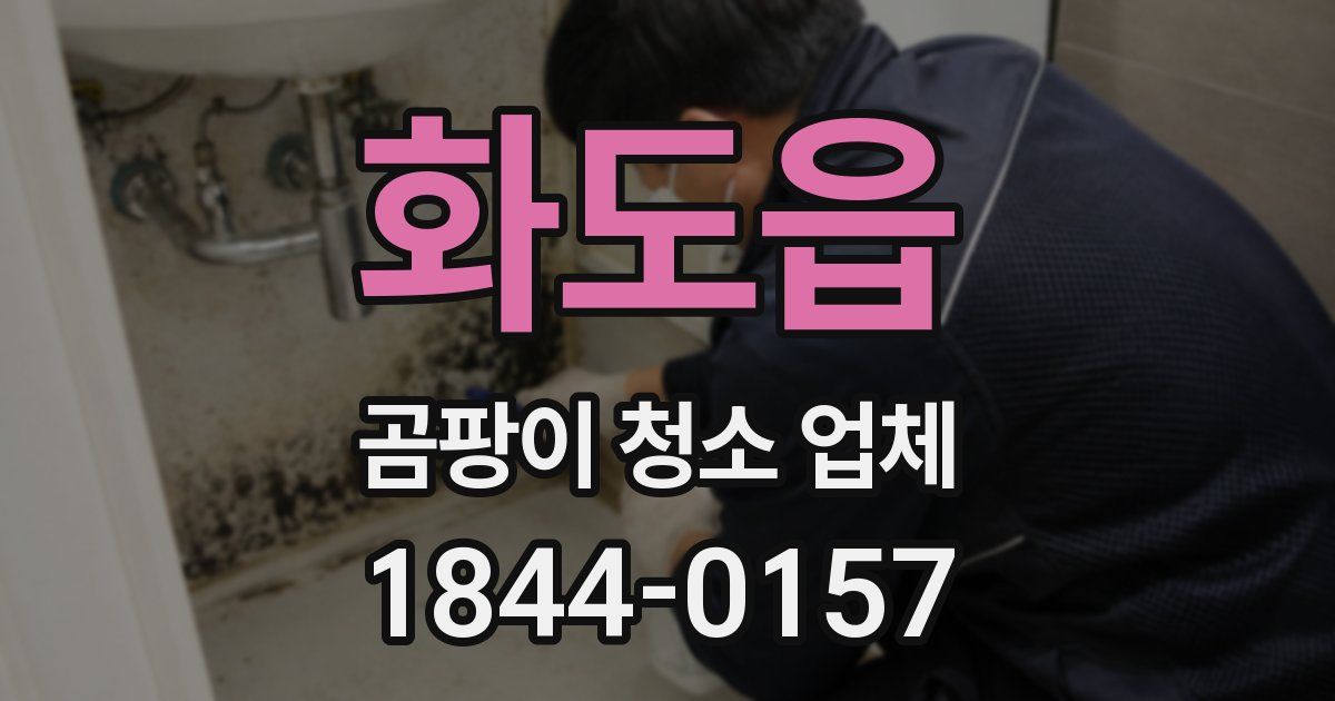 화도읍 곰팡이 청소 업체