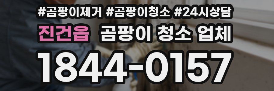 진건읍 곰팡이 청소 업체
