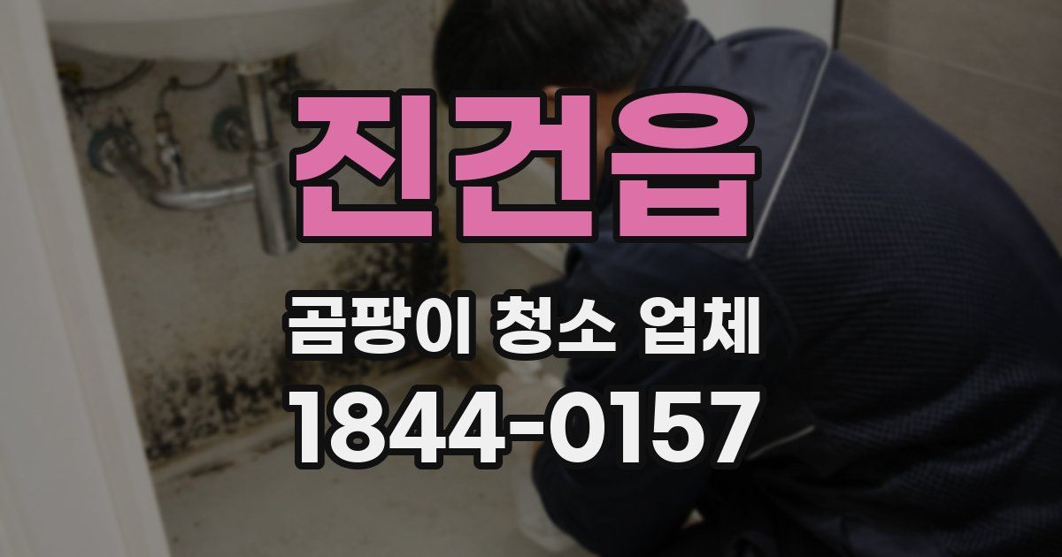 진건읍 곰팡이 청소 업체