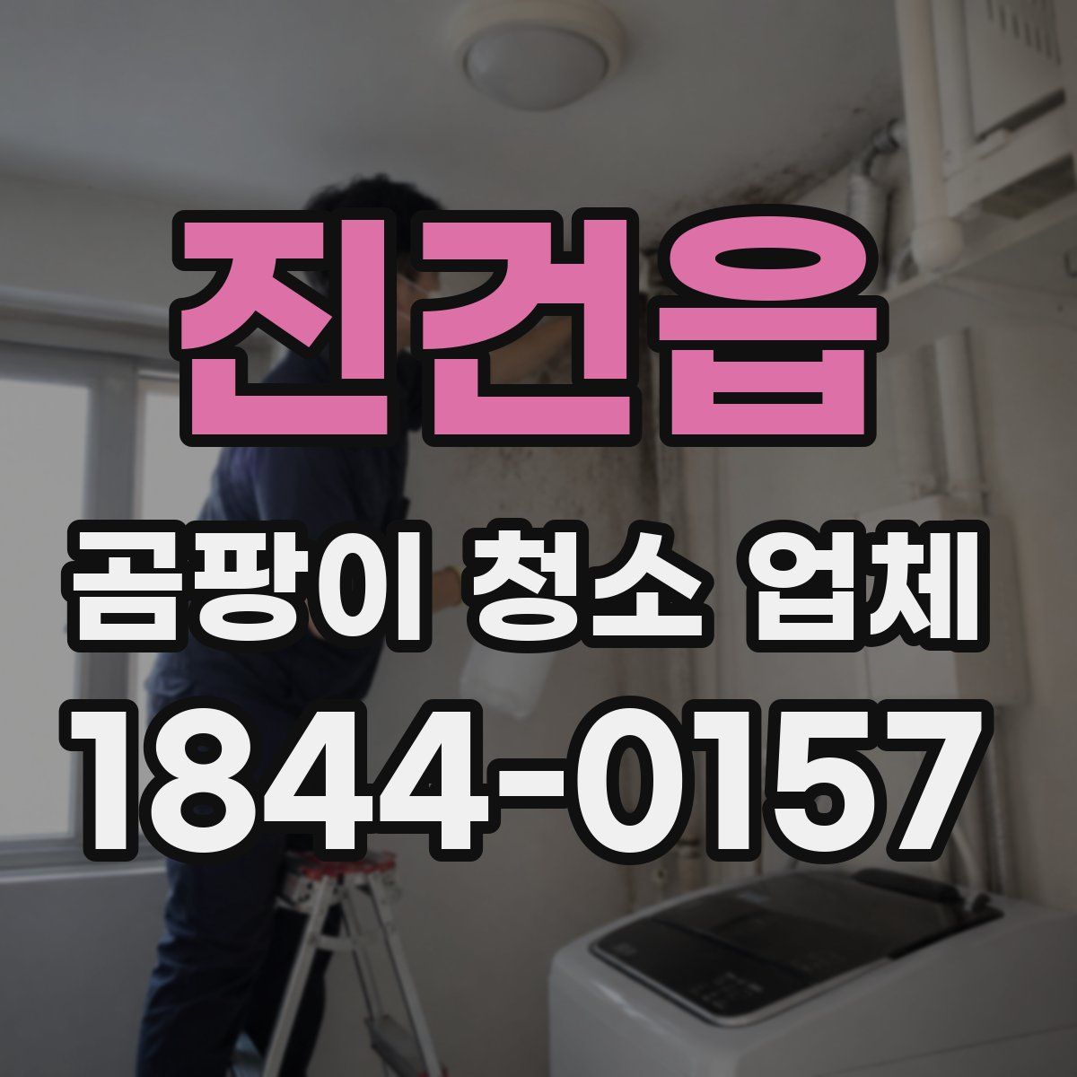 진건읍 곰팡이 청소 업체