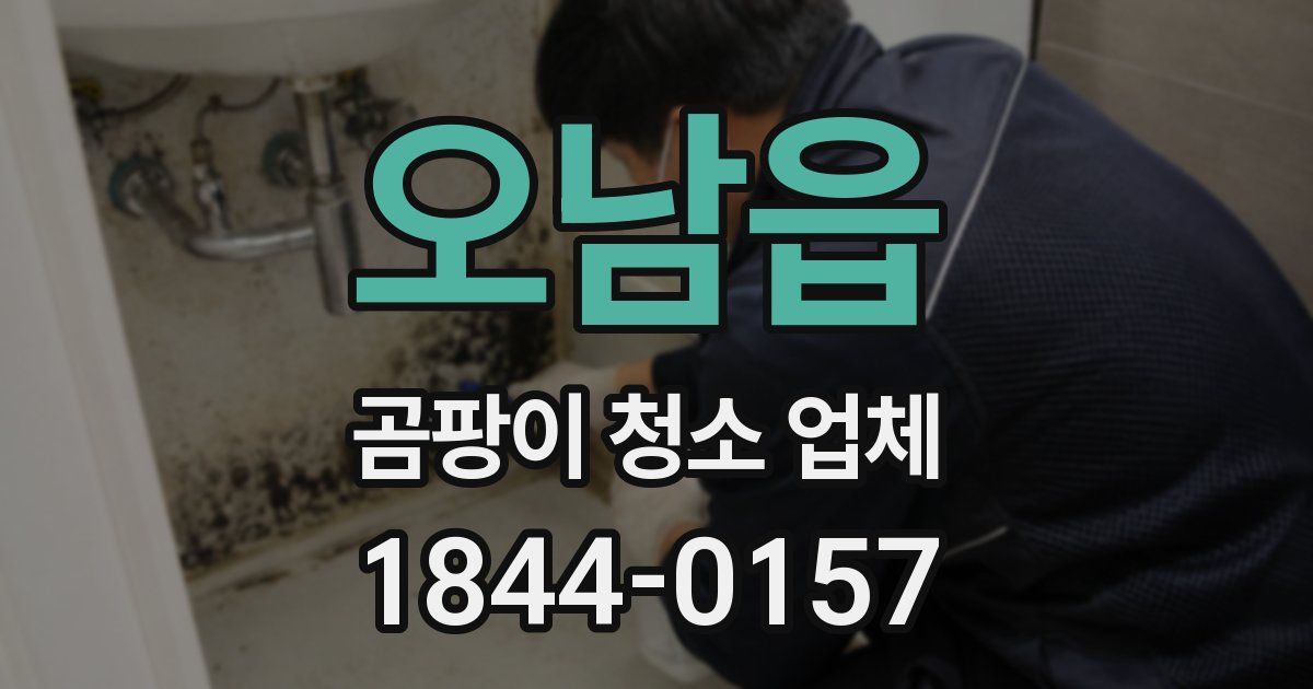오남읍 곰팡이 청소 업체