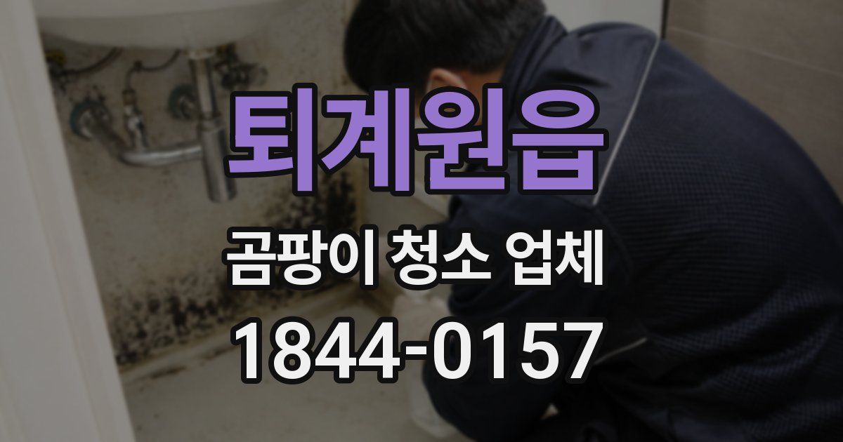 퇴계원읍 곰팡이 청소 업체