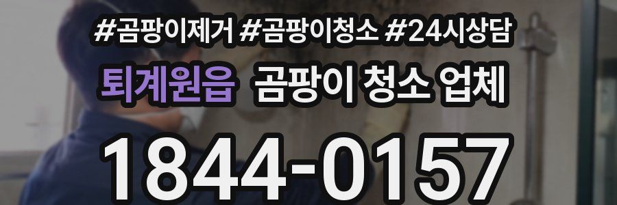퇴계원읍 곰팡이 청소 업체