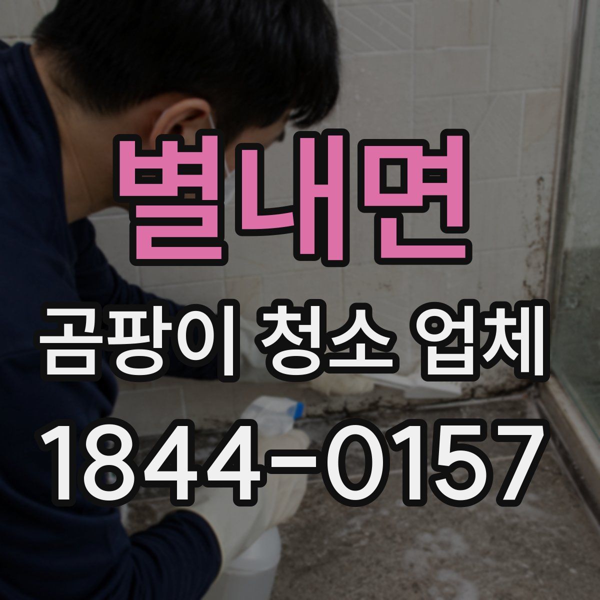 별내면 곰팡이 청소 업체