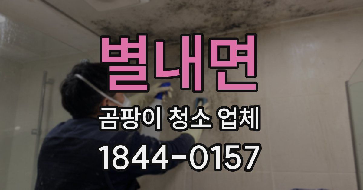 별내면 곰팡이 청소 업체